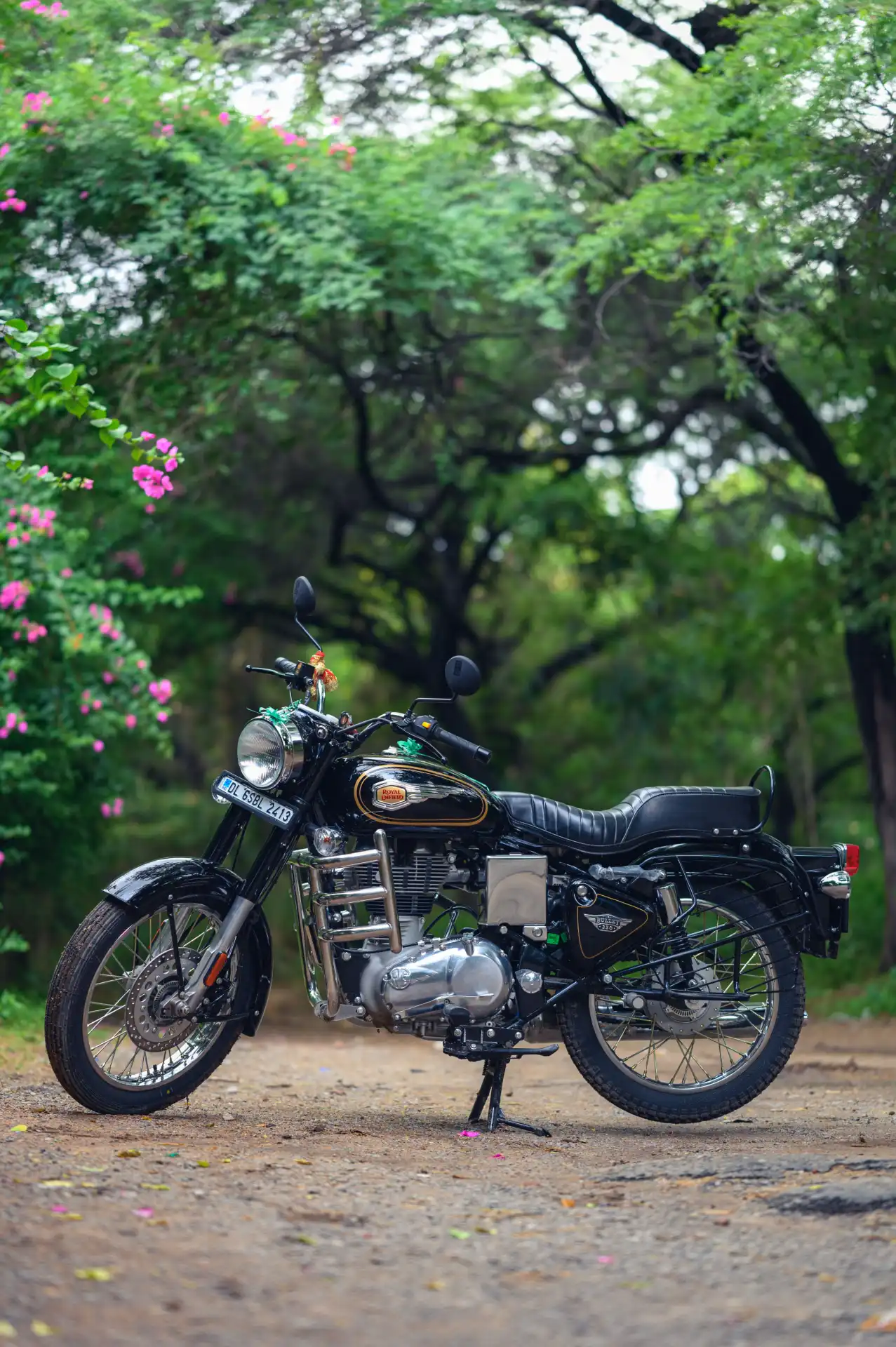 Cruiser & Sports Bikes